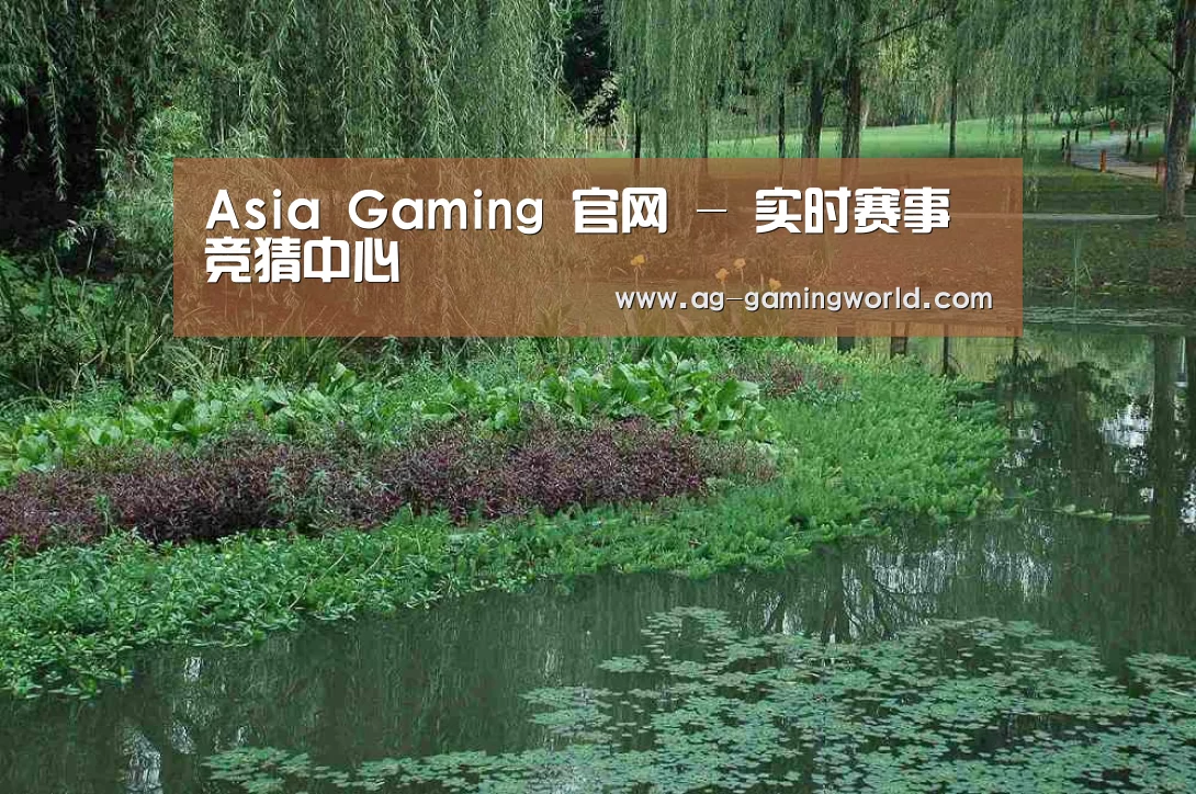 案例展示一(图1)