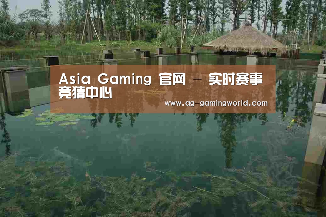 案例展示二(图1)