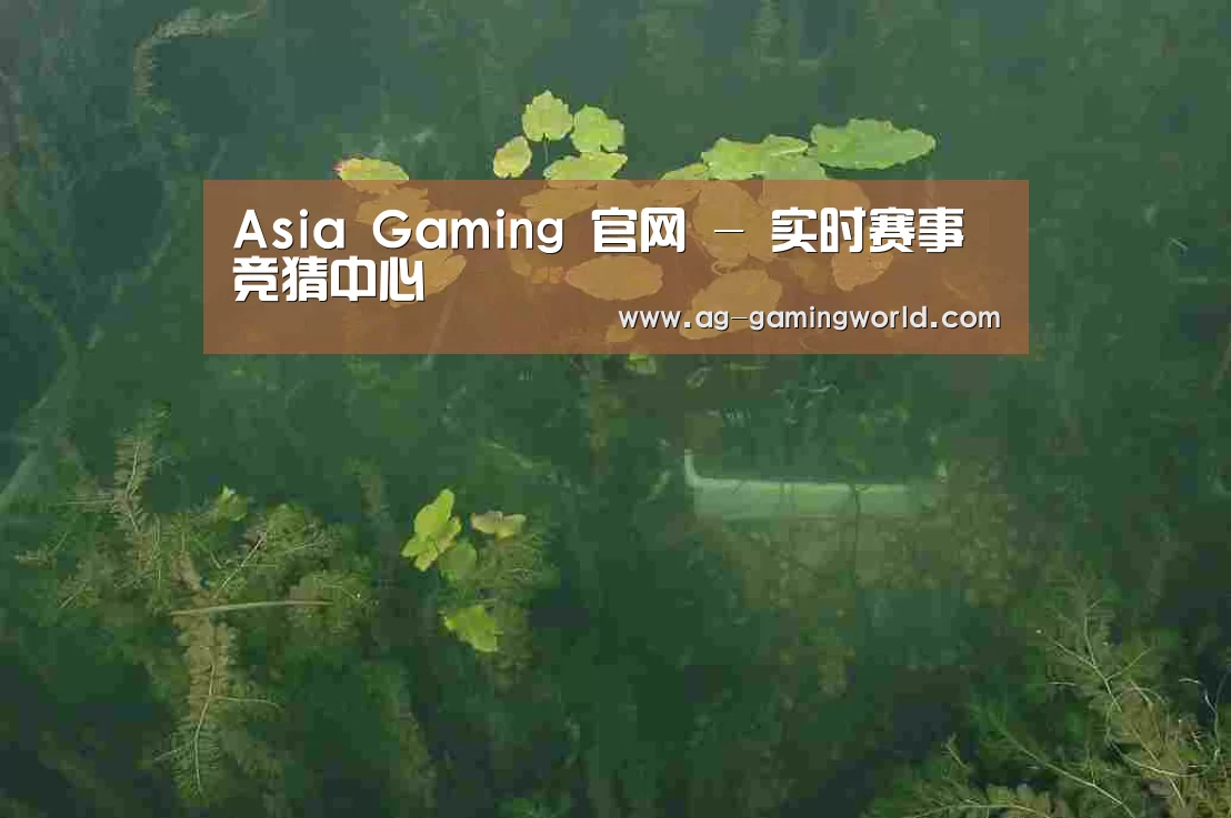 案例展示三(图1)