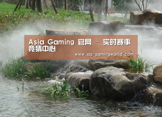 案例展示五(图1)