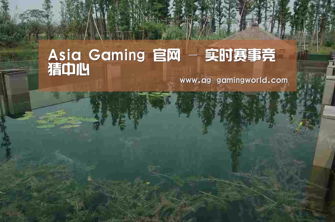 案例展示二
