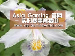 产品名称二
