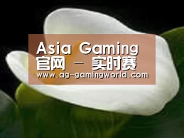 产品名称七