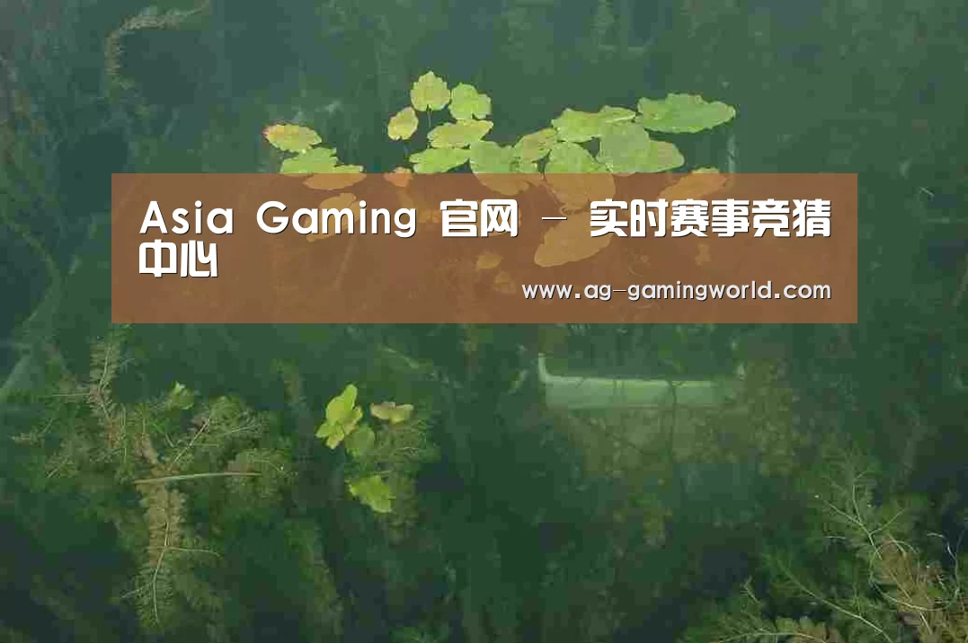 案例展示三