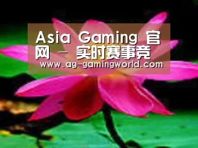 产品名称五