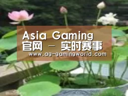 产品名称一