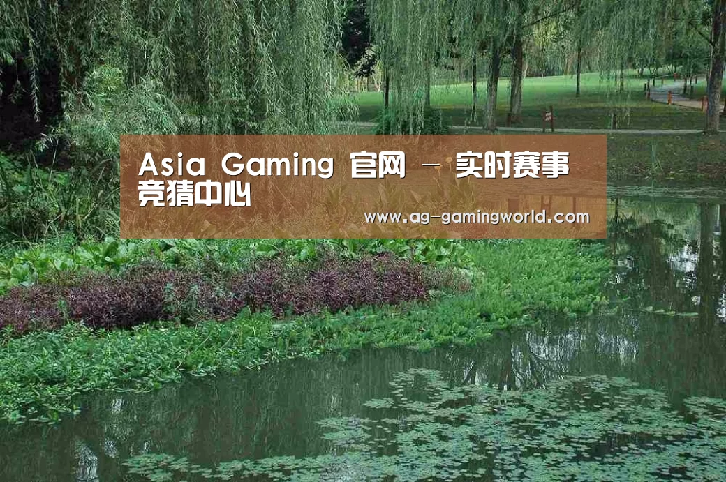 案例展示一