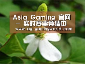 产品名称三