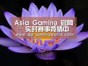产品名称六