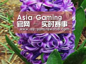 产品名称八