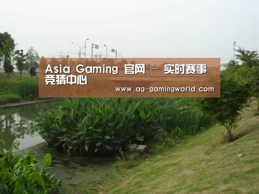 案例展示四
