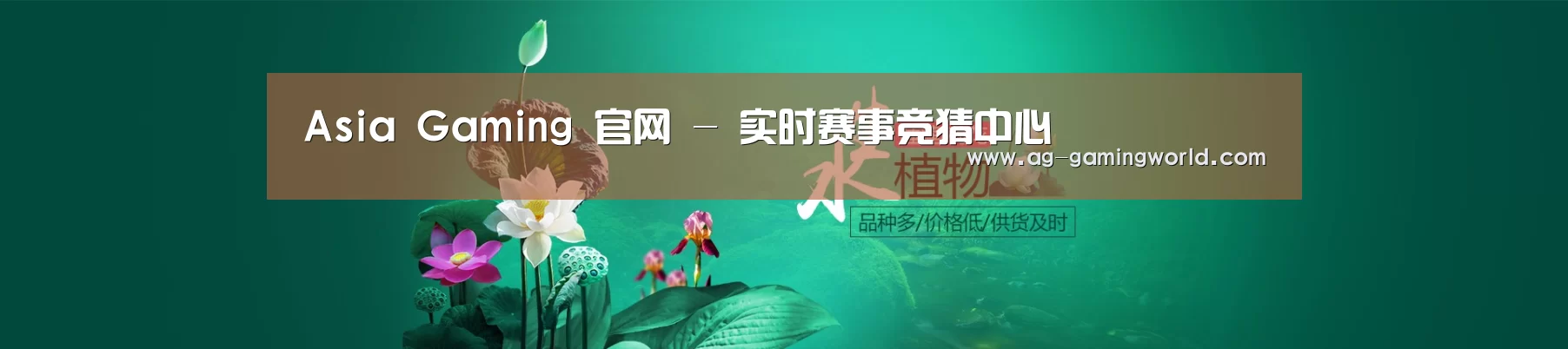 鲜花水草花卉网站模板
