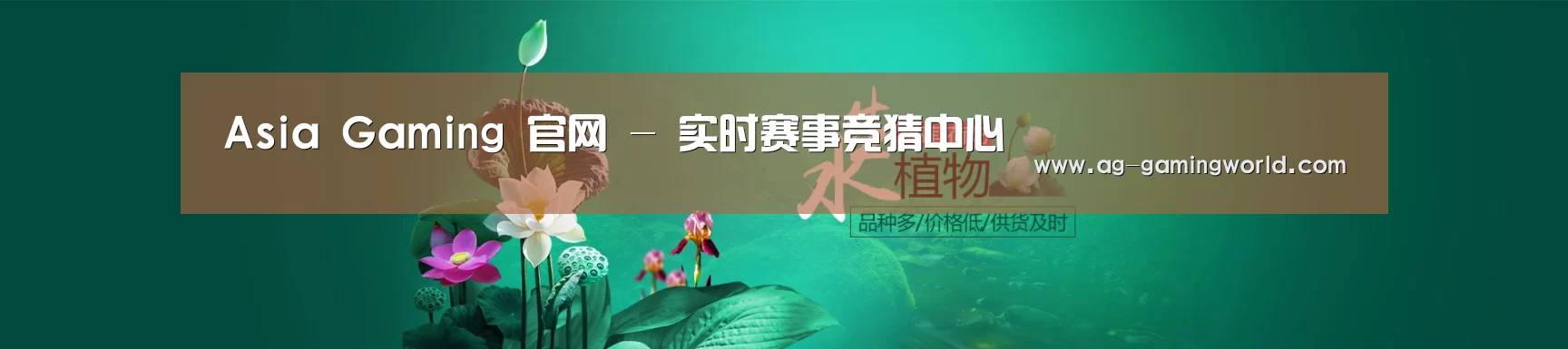 鲜花水草花卉网站模板