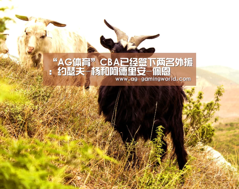 “AG体育”CBA已经签下两名外援:约瑟夫-杨和阿德里安-佩恩(图4) AG篮球