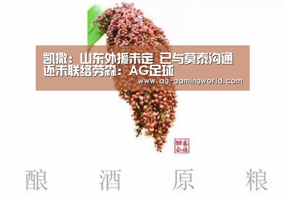 AG篮球